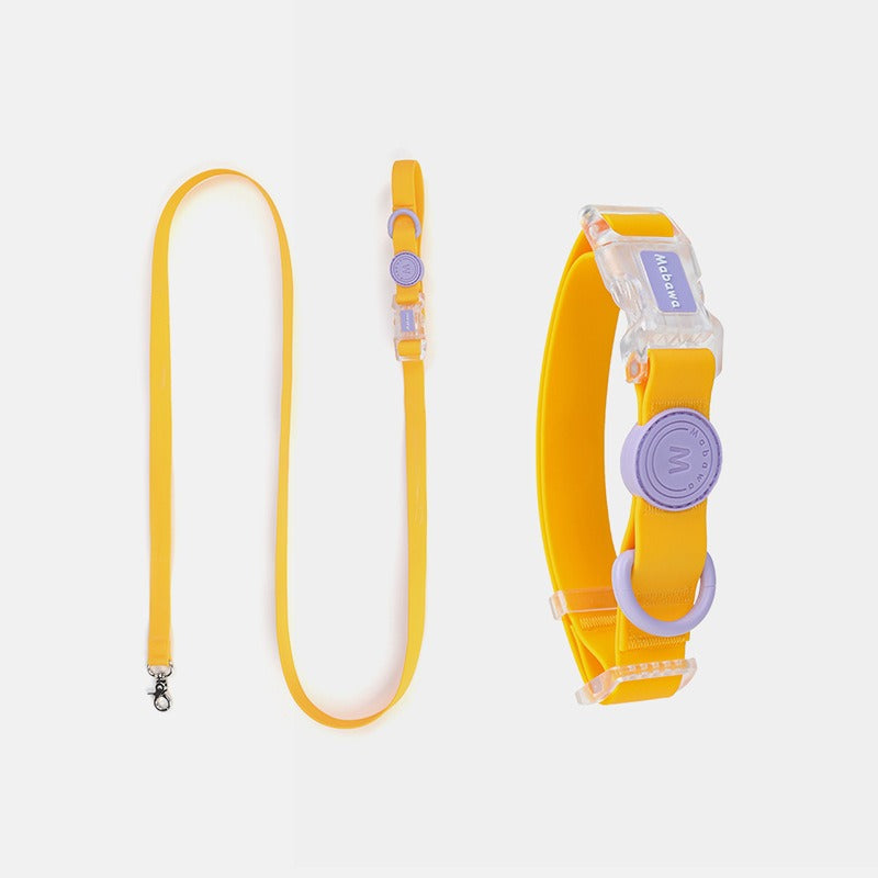 Citronkola – set med halsband och koppel i gult med lila detaljer